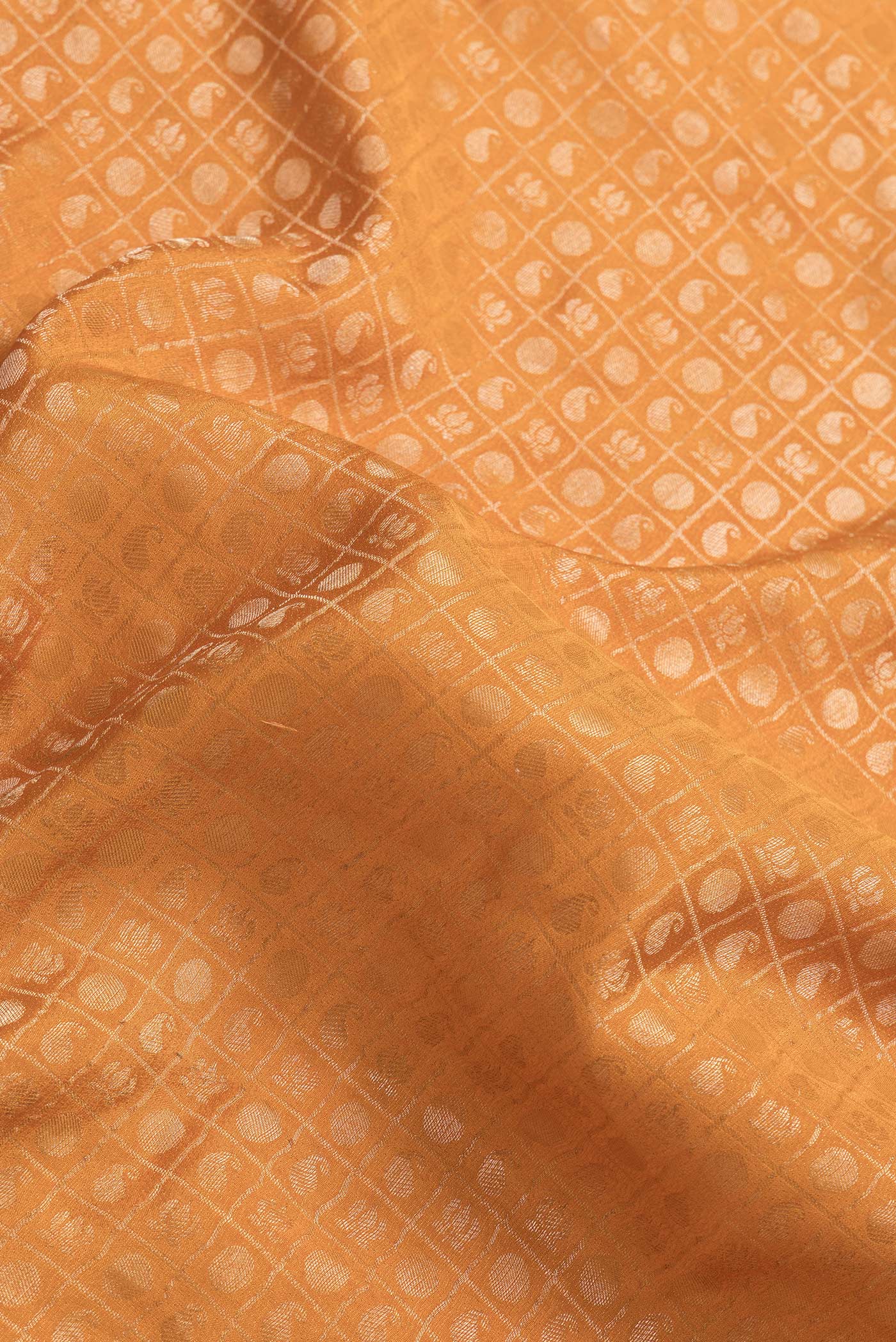 Close up of Mustard Dual Tone Tussar Silk Saree with Zari Brocade on the body and Zari Border.  displaying folds