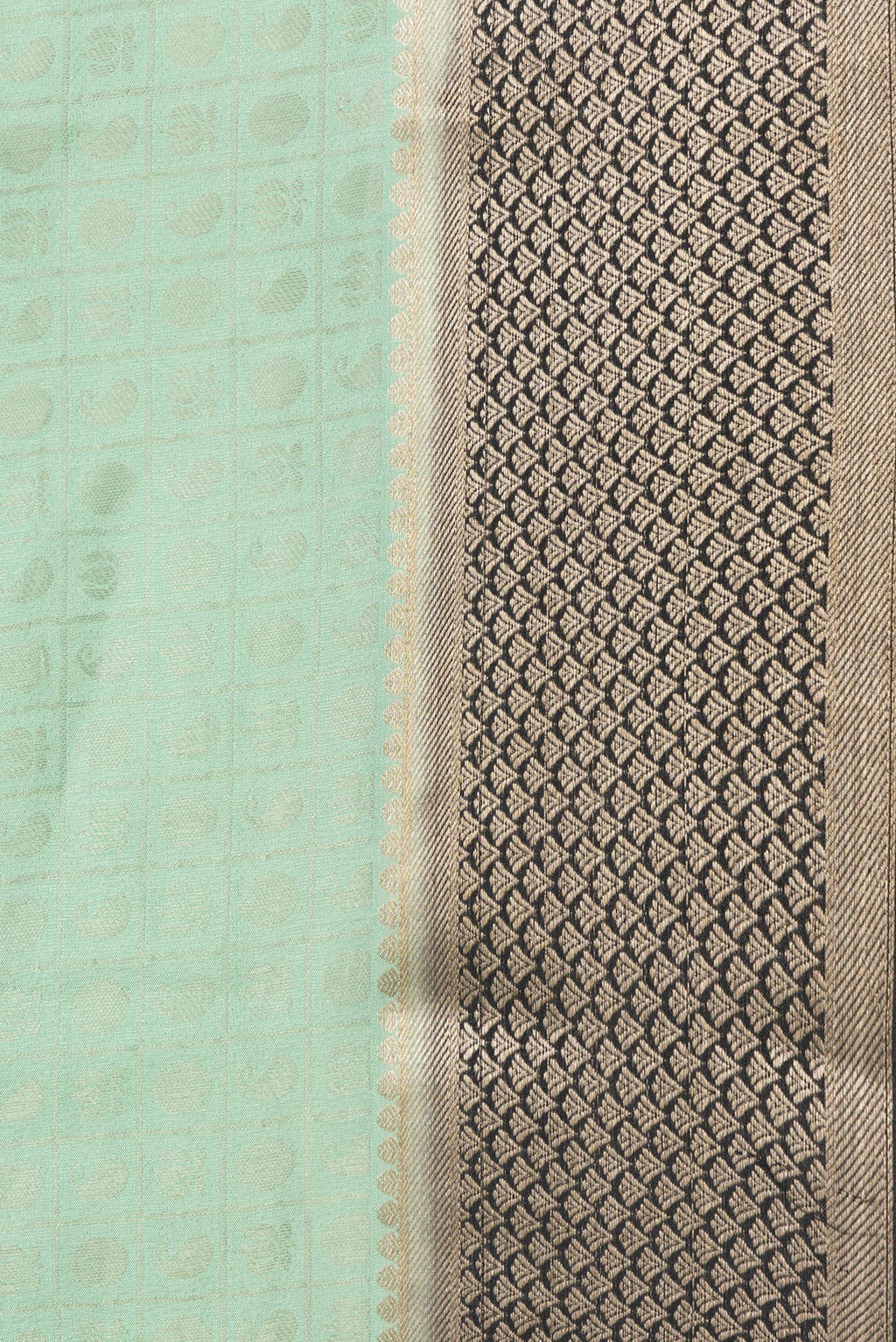 Border image of Pista Green Dual Tone Tussar Silk Saree with Zari Brocade on the body and Zari Border. 