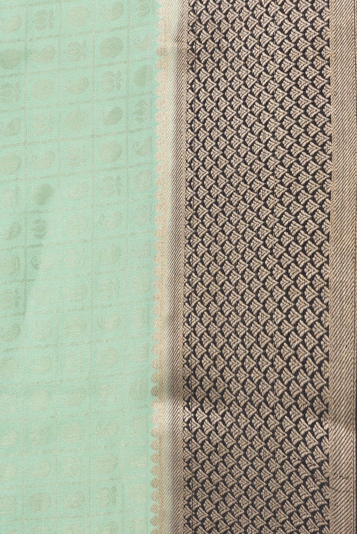 Border image of Pista Green Dual Tone Tussar Silk Saree with Zari Brocade on the body and Zari Border. 