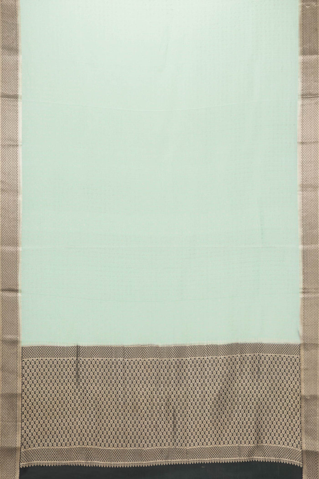 Flat view of Pista Green Dual Tone Tussar Silk Saree with Zari Brocade on the body and Zari Border. 