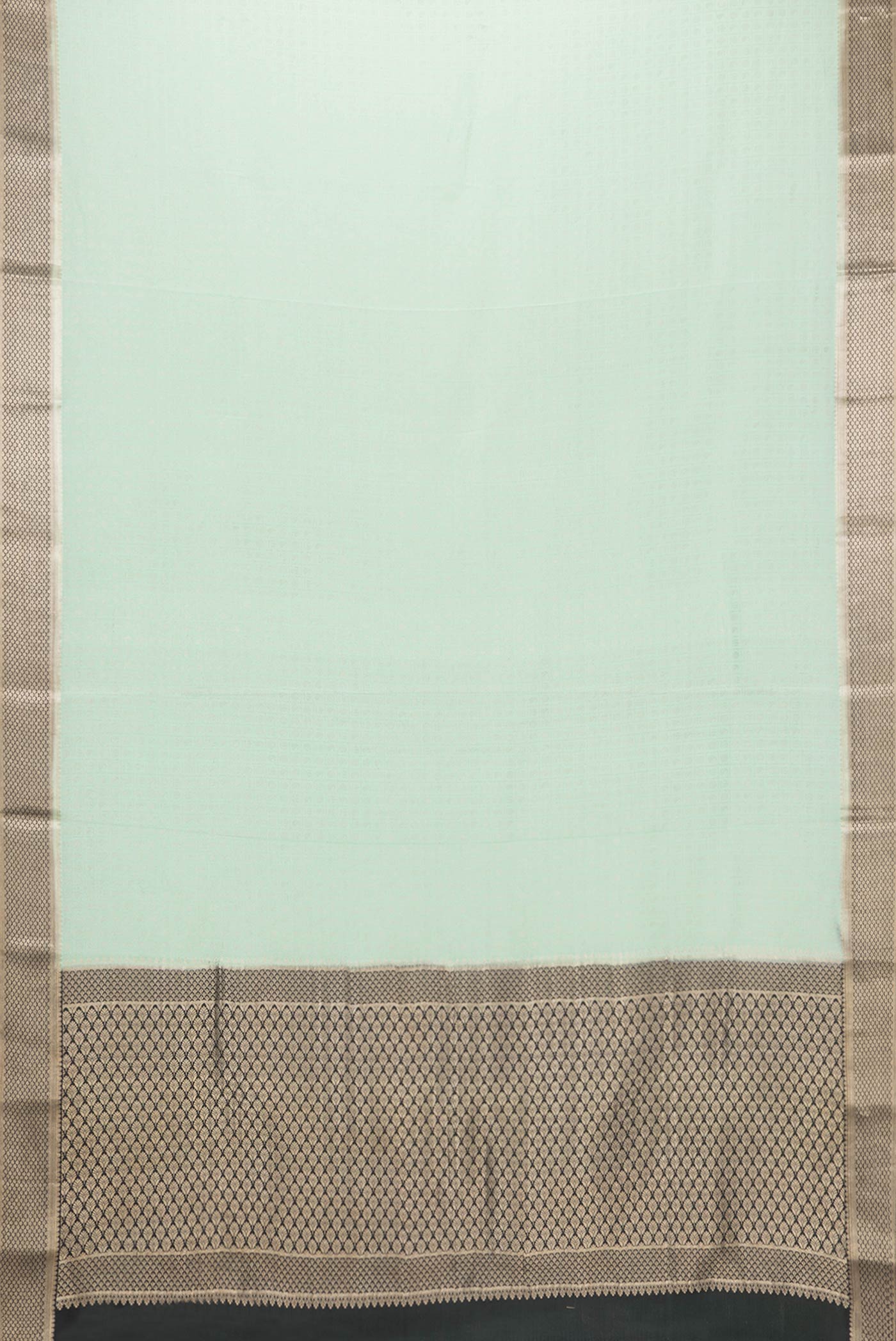 Flat view of Pista Green Dual Tone Tussar Silk Saree with Zari Brocade on the body and Zari Border. 