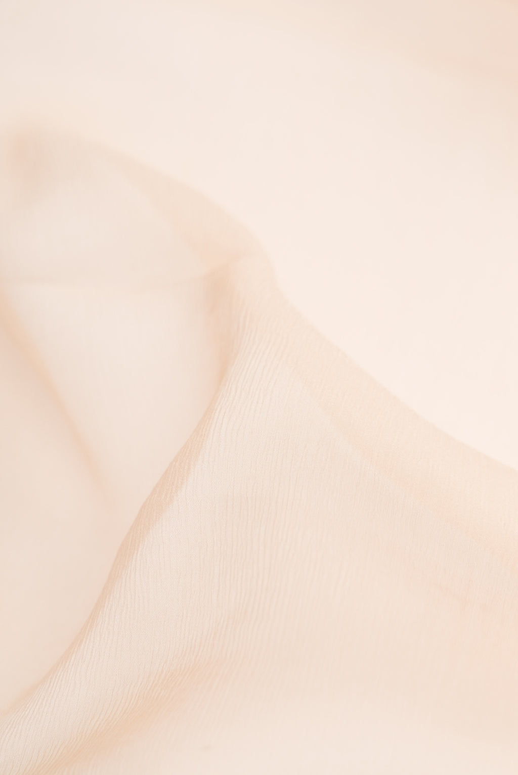 Close up of Beige Dual Tone Mysore Chiffon Saree with Plain Body and Zari Border.  displaying folds