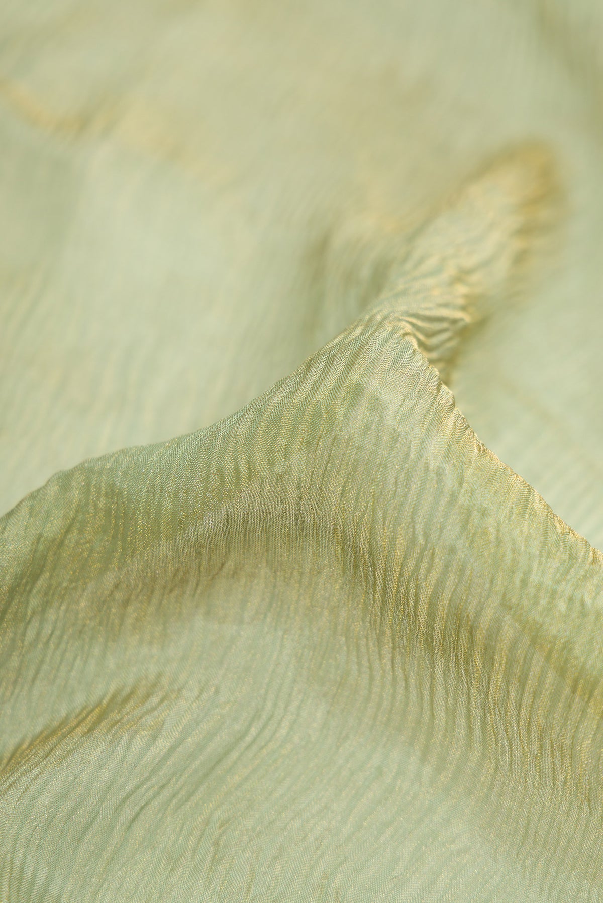 Close up of Pista Green Dual Tone Mysore Georgette Saree with Plain Body and Zari Border.  displaying folds