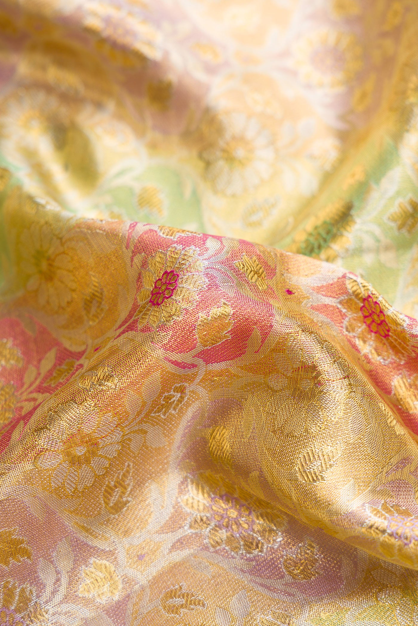 Close up of Gold Dual Tone Kanjivaram Tissue Silk Saree with Zari Brocade on the body and Zari Border.  displaying folds