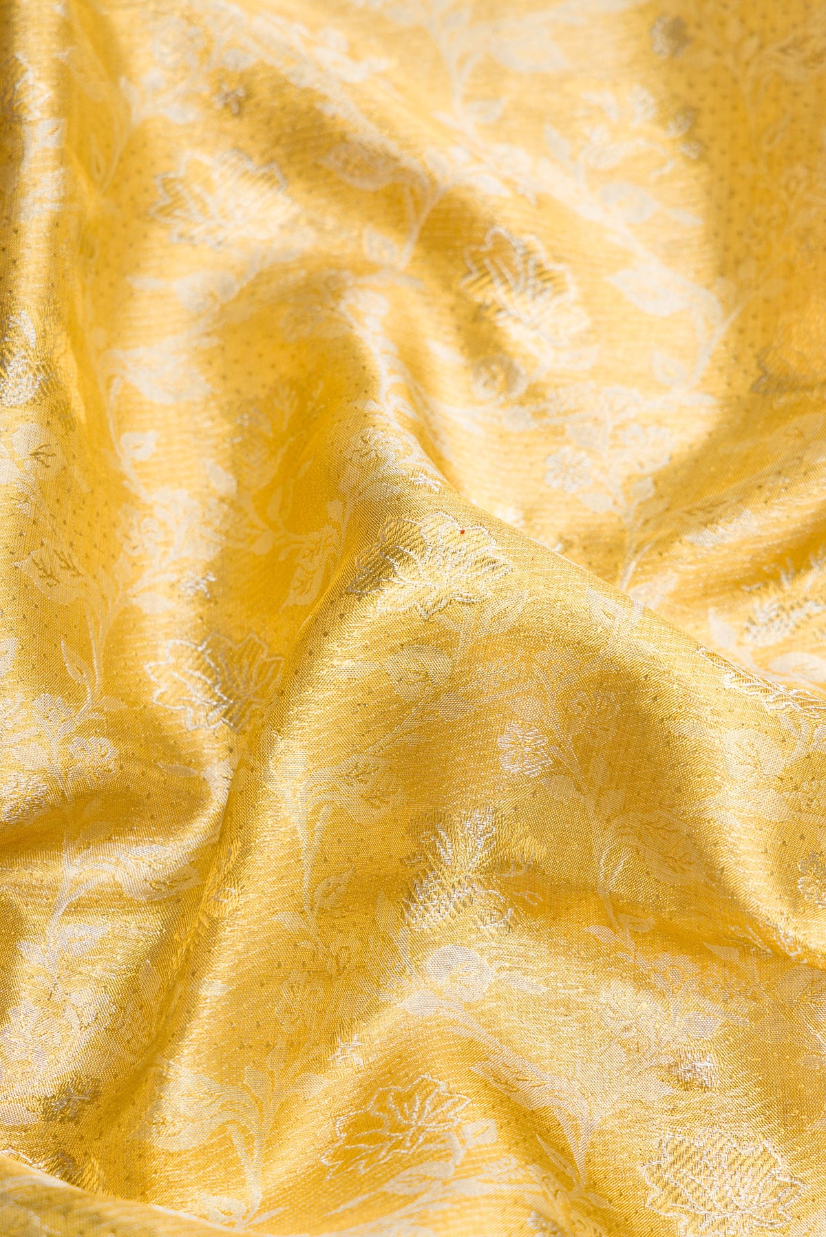 Close up of Gold Dual Tone Kanjivaram Tissue Silk Saree with Zari Brocade on the body and Zari Border.  displaying folds