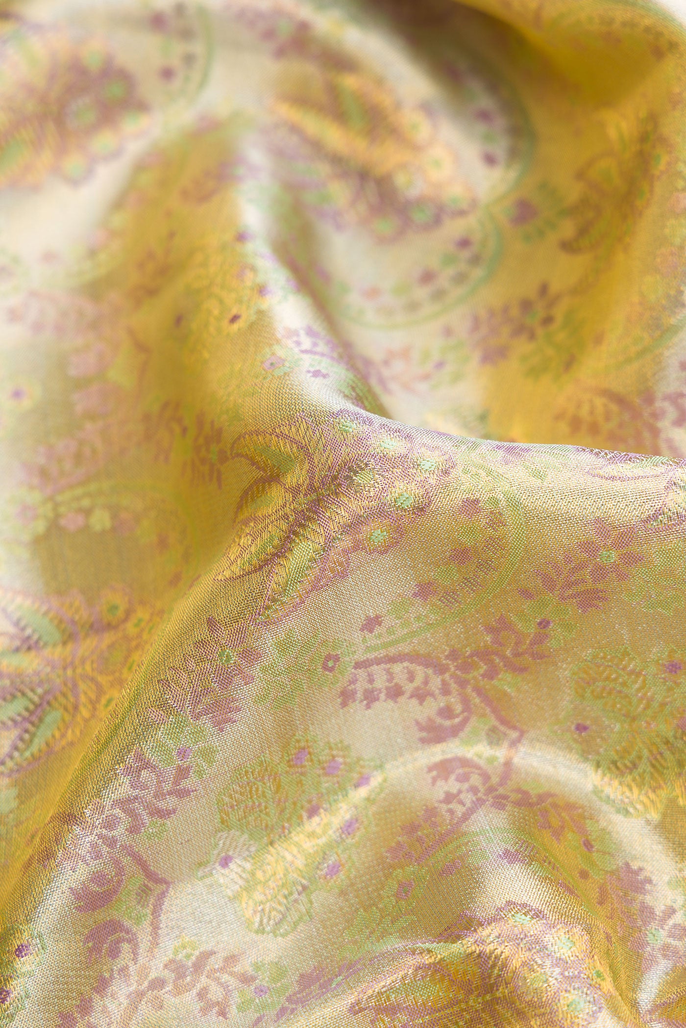 Close up of Gold Dual Tone Kanjivaram Tissue Silk Saree with Zari Brocade on the body and Zari Border.  displaying folds