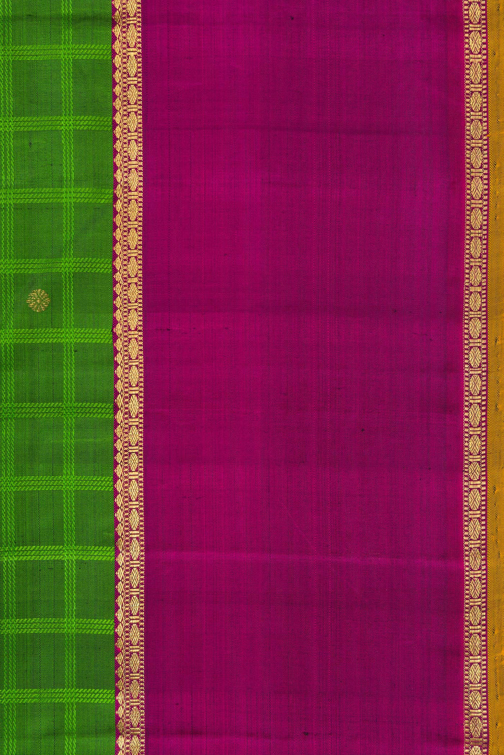 Border image of Pure Silk Pure Zari Green Dual Tone Kanchipuram Saree with Checked design on the body and Ganga Jamuna Border. 