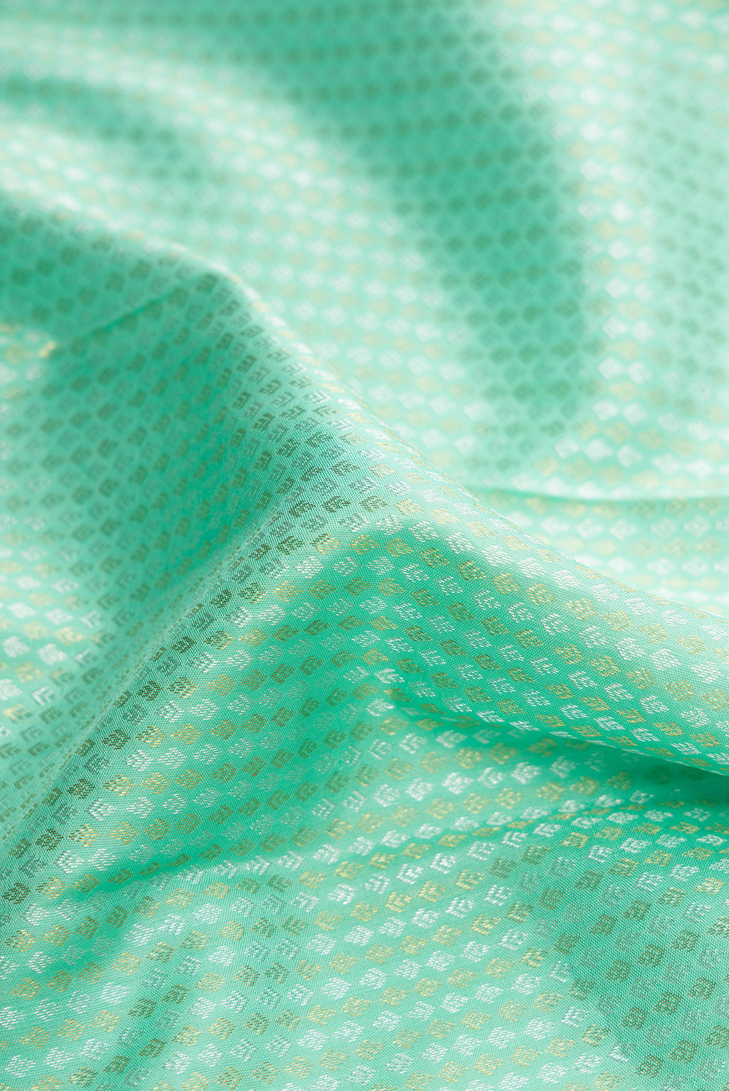 Close up of Light Green Dual Tone Kanjivaram Silk Saree with Zari Brocade on the body and Zari Border.  displaying folds
