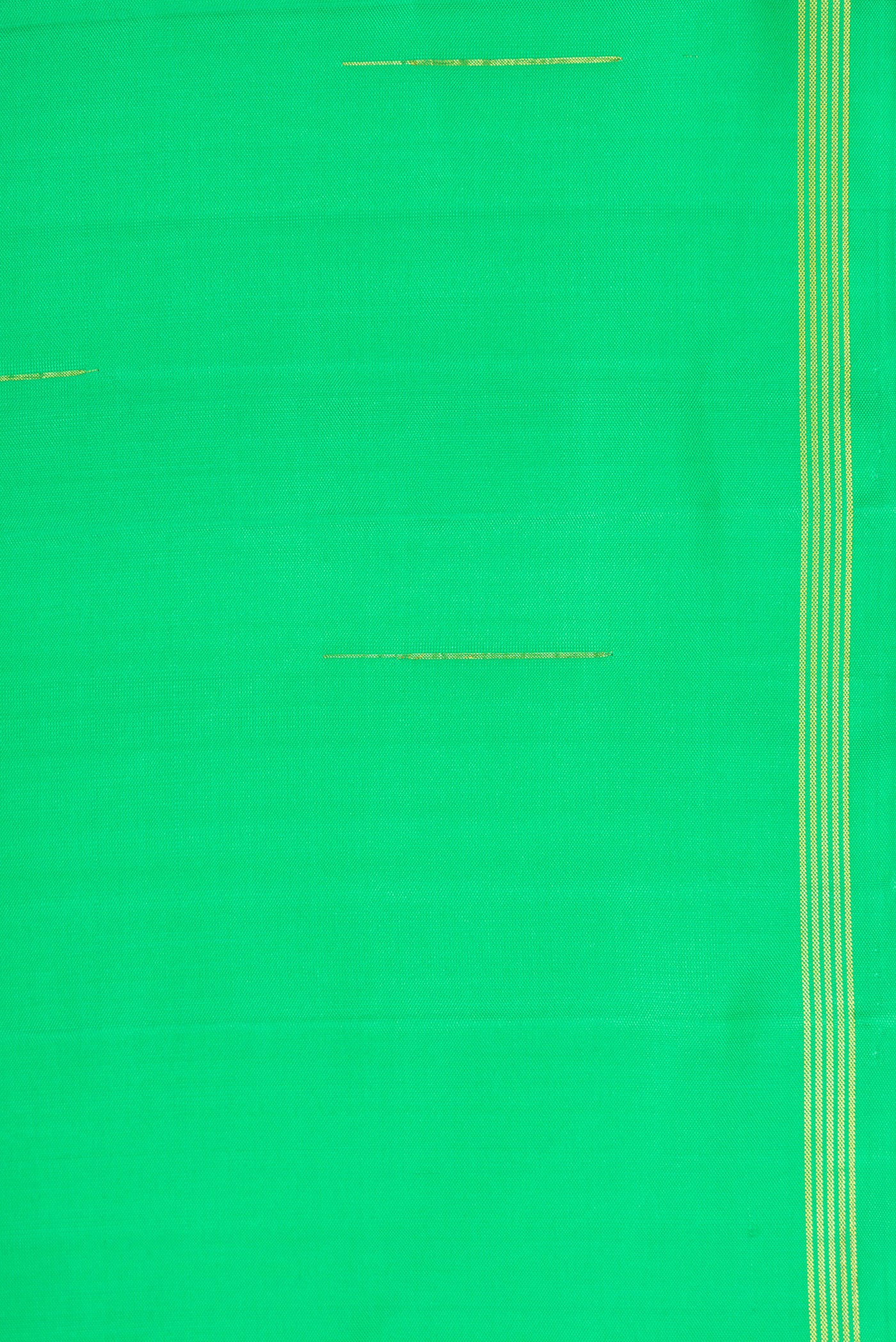 Border image of Parrot Green Dual Tone Kanjivaram Silk Saree with Zari Butta on the body and Zari Border. 