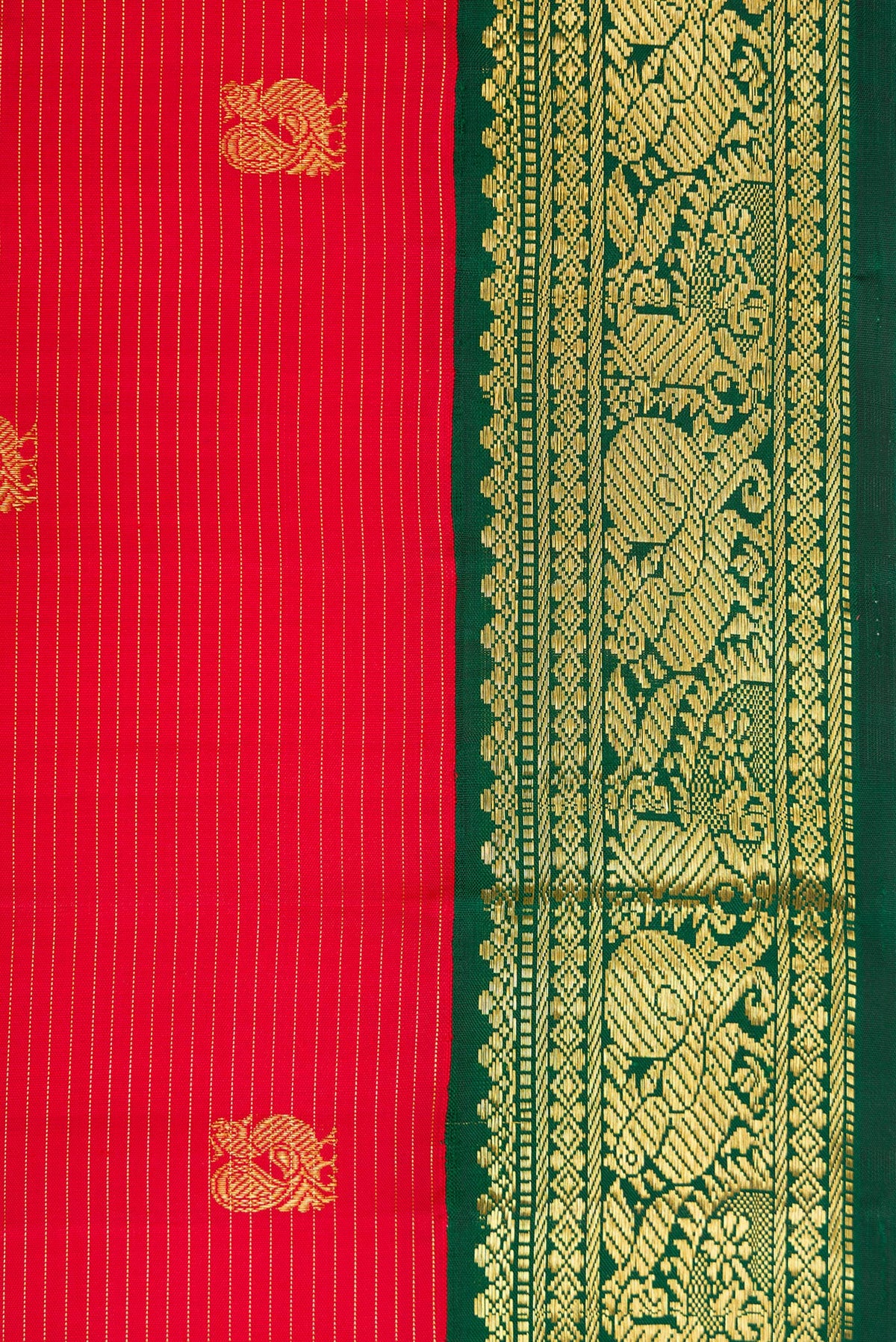Border image of Red Dual Tone Kanchipuram Silk Saree with Zari Butta on the body and Zari Border. 