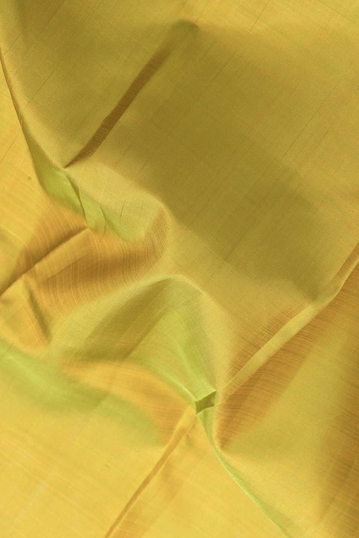 Close up of Parrot Green Dual Tone Kanjivaram Silk Saree with Plain Body and Zari Border.  displaying folds