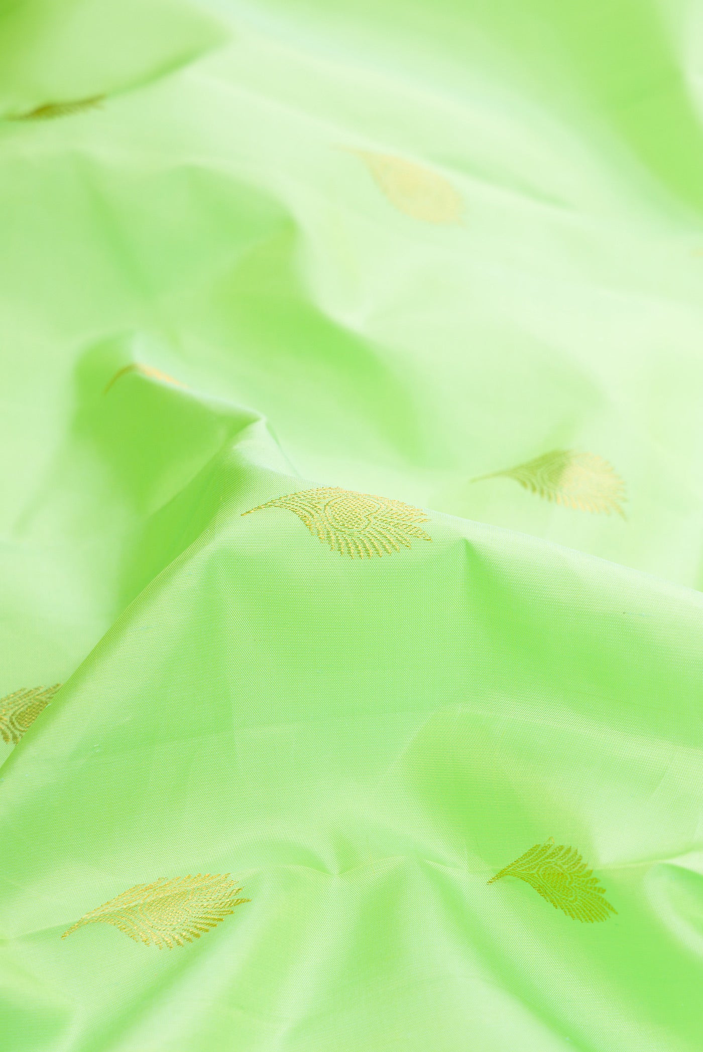 Close up of Parrot Green Dual Tone Kanjivaram Silk Saree with Zari Butta on the body and Zari Border.  displaying folds