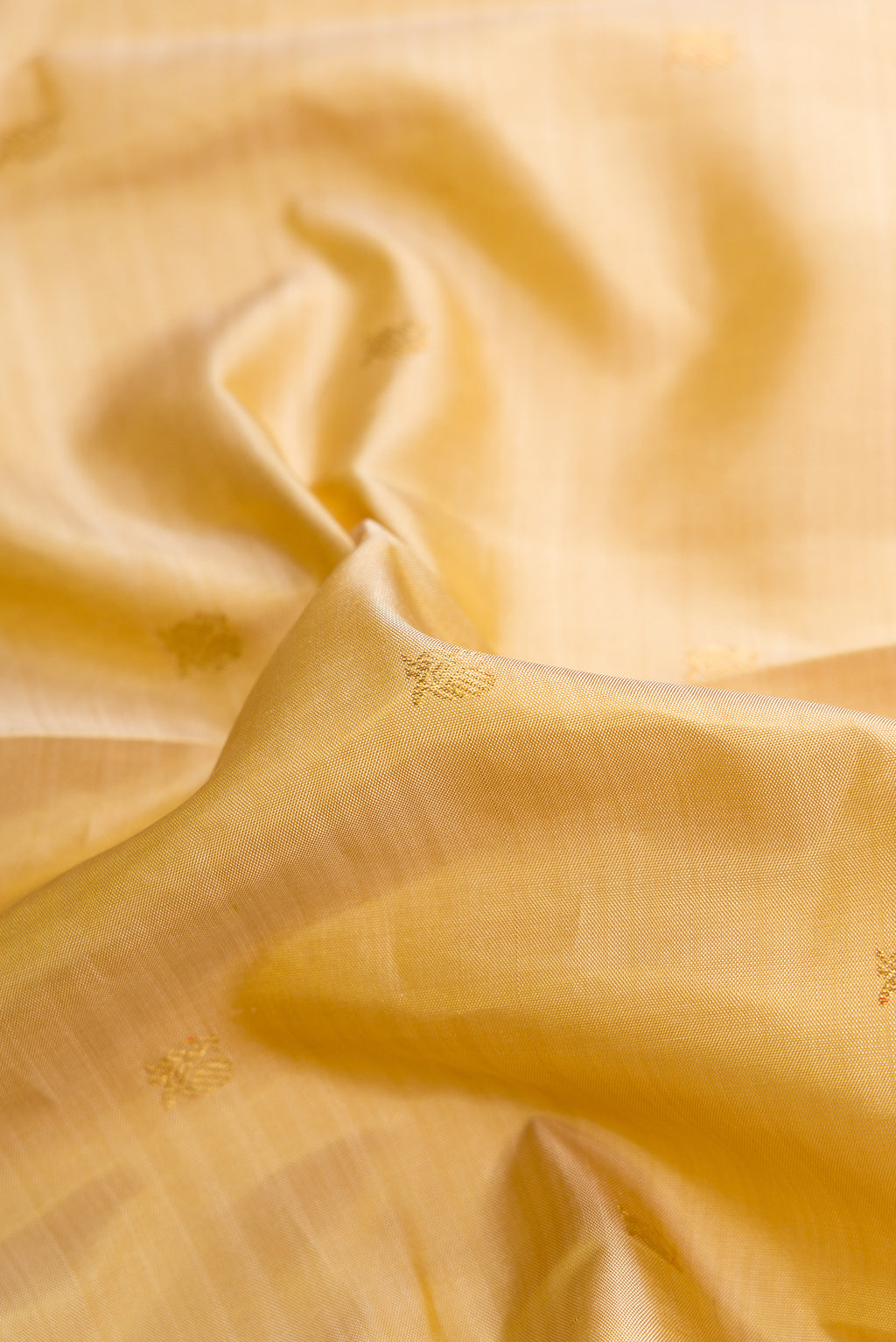 Close up of Dark Beige Dual Tone Kanchipuram Silk Saree with Zari Butta on the body and Zari Border.  displaying folds