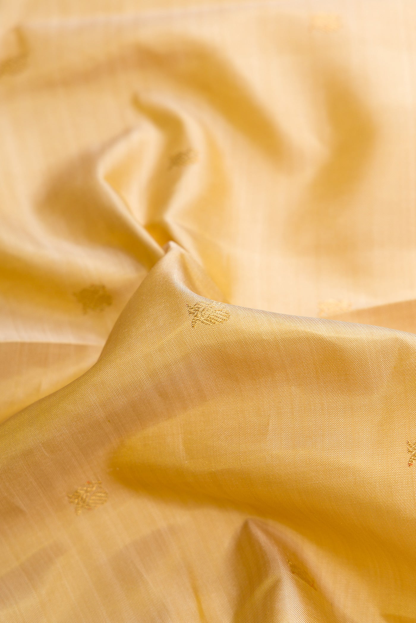 Close up of Dark Beige Dual Tone Kanchipuram Silk Saree with Zari Butta on the body and Zari Border.  displaying folds