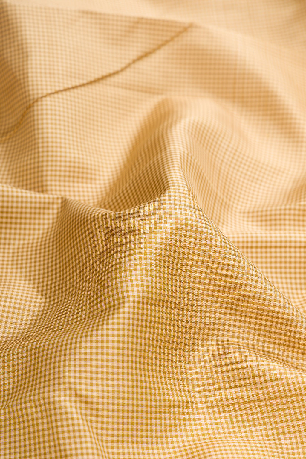 Close up of Beige Dual Tone Kanjivaram Silk Saree with Checked design on the body and Zari Border.  displaying folds