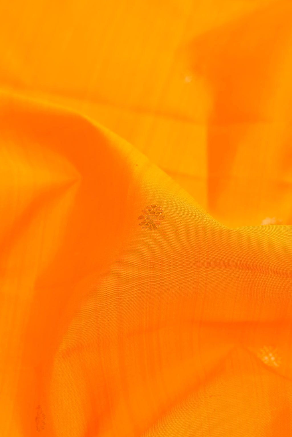 Close up of Mustard Dual Tone Kanjivaram Silk Saree with Zari Butta on the body and Zari Border.  displaying folds