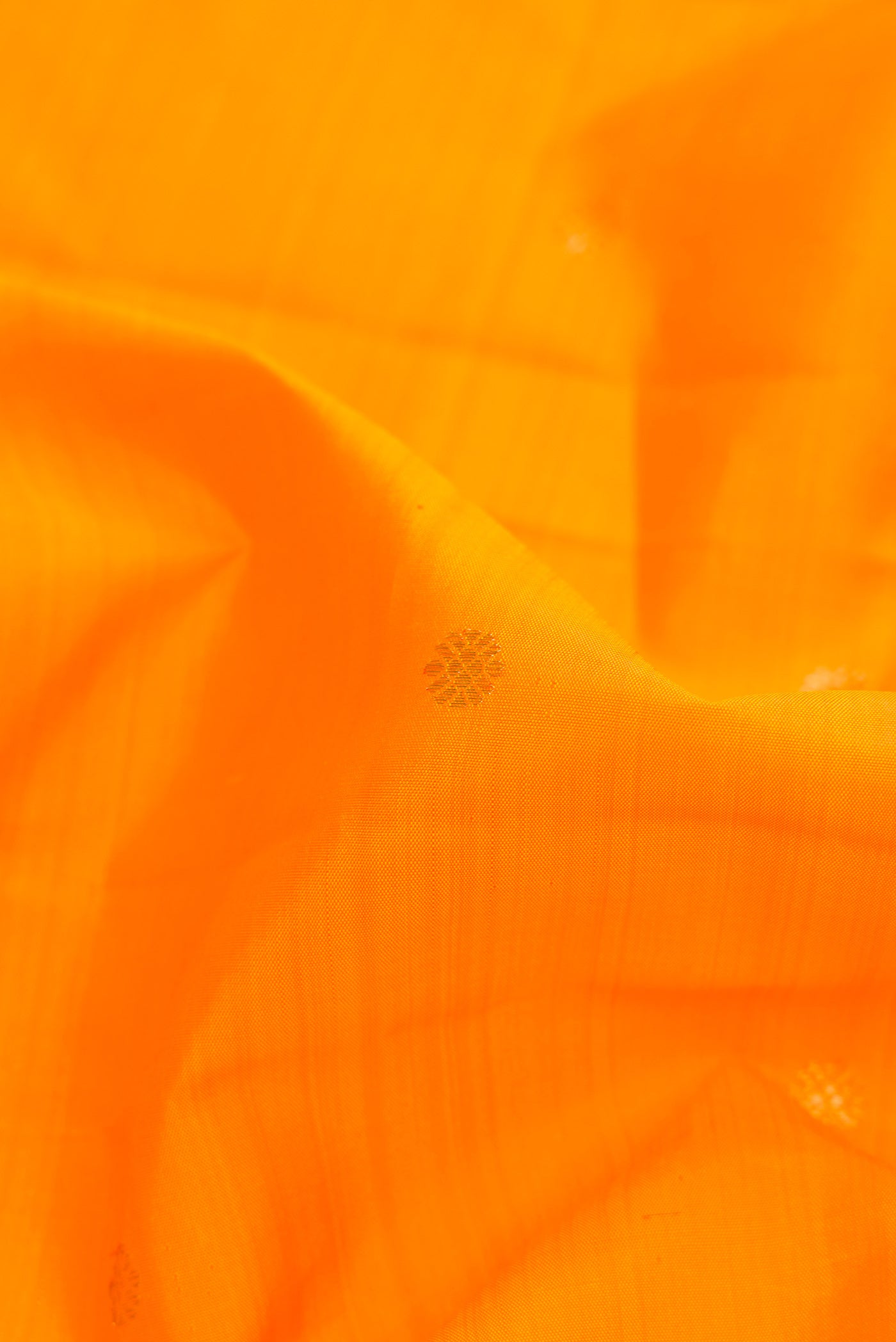 Close up of Mustard Dual Tone Kanjivaram Silk Saree with Zari Butta on the body and Zari Border.  displaying folds
