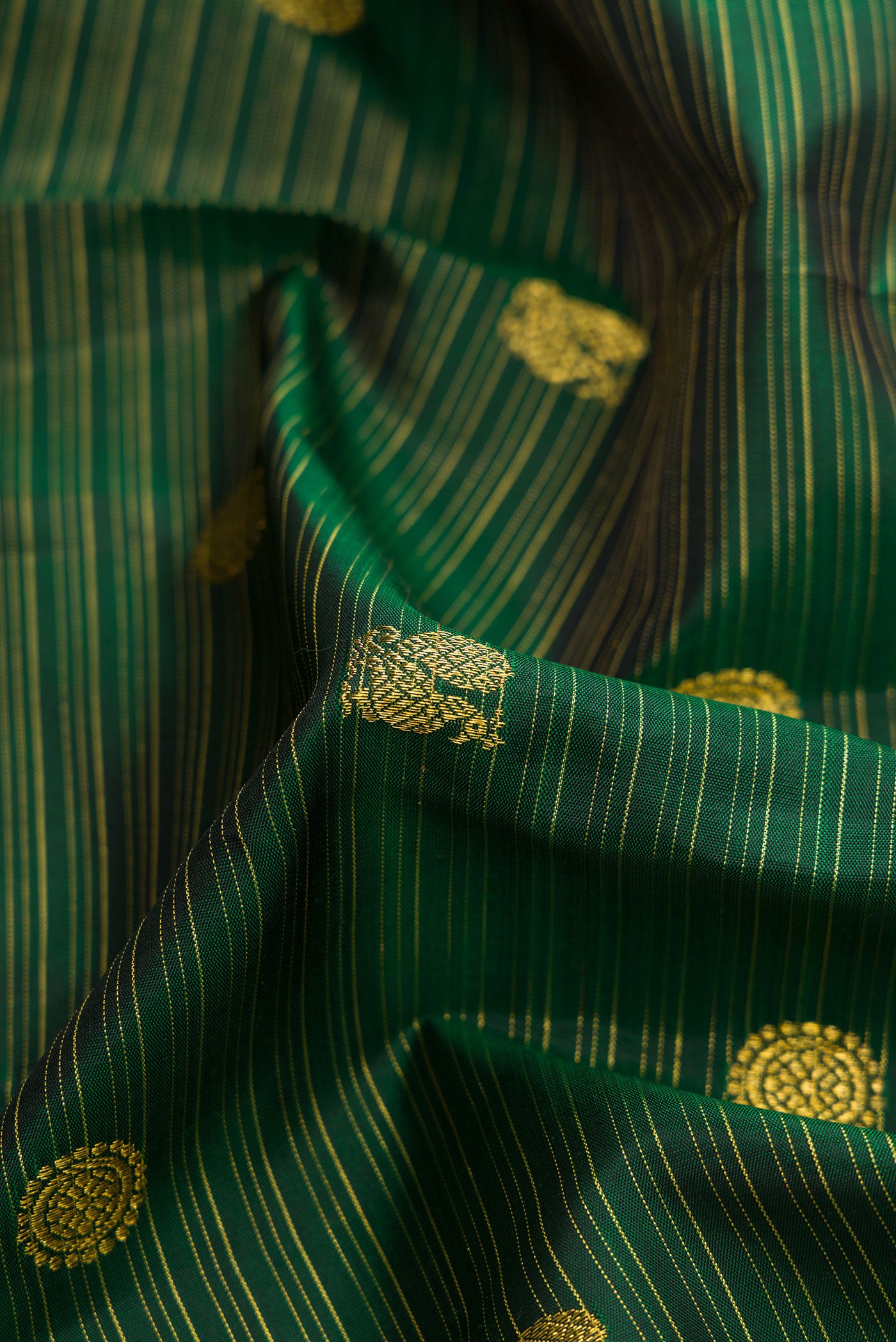 Close up of Green Dual Tone Kanchipuram Silk Saree with Zari Butta on the body and Zari Border.  displaying folds