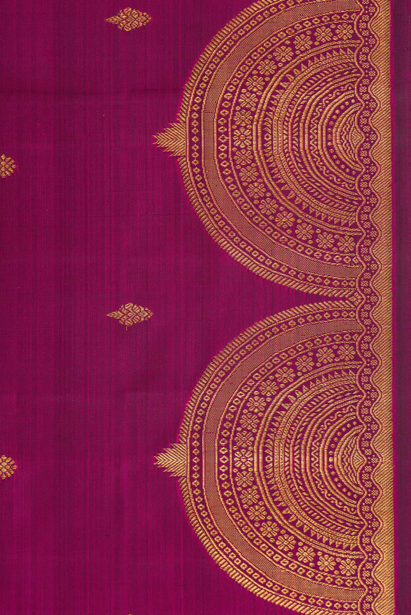 Border image of Magenta Dual Tone Kanjivaram Silk Saree with Zari Butta on the body and Fancy Border. 