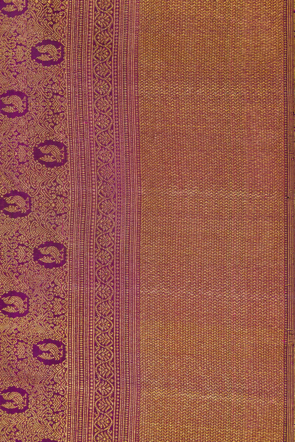Border image of Purple Dual Tone Kanchipuram Silk Saree with Zari Brocade on the body and Zari Border. 