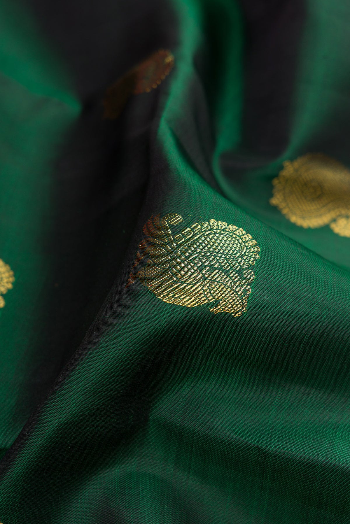 Close up of Green Dual Tone Kanchipuram Silk Saree with Zari Butta on the body and Zari Border.  displaying folds