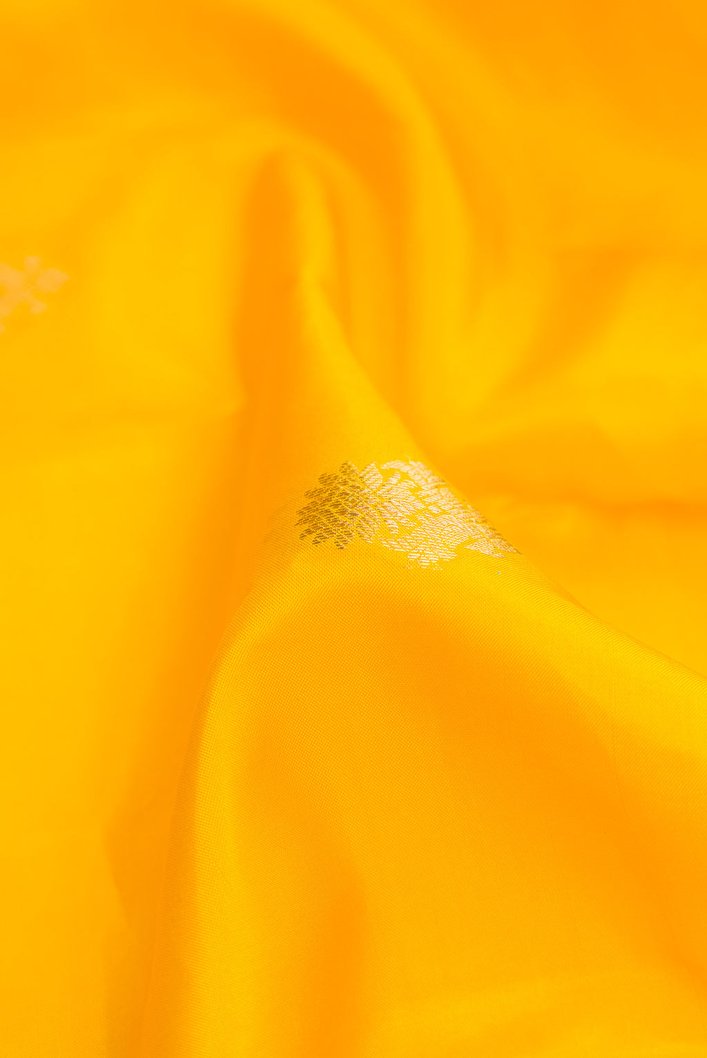 Close up of Yellow Dual Tone Kanchipuram Silk Saree with Zari Butta on the body and Zari Border.  displaying folds