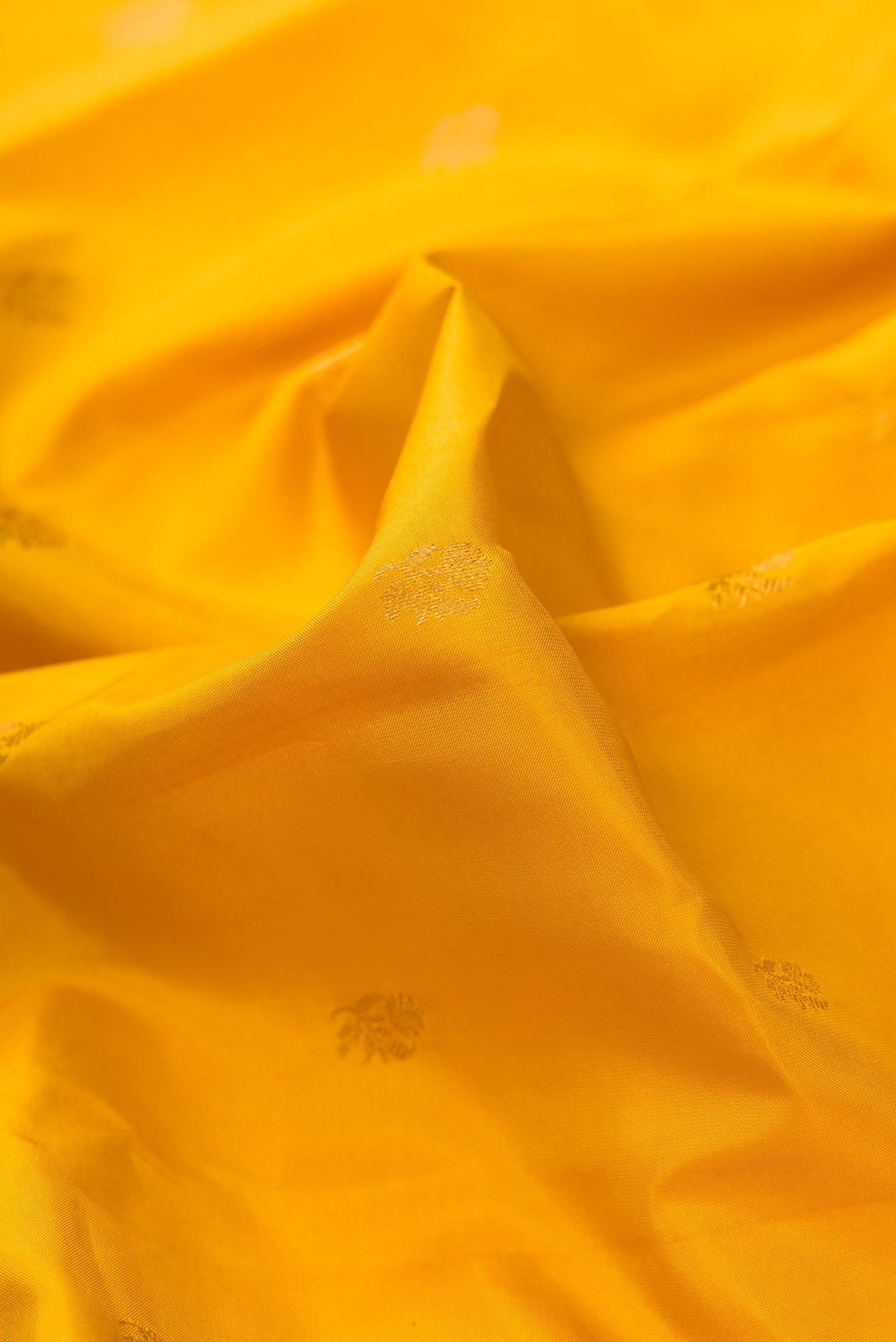 Close up of Mustard Dual Tone Gadwal Silk Saree with Zari Butta on the body and Zari Border.  displaying folds