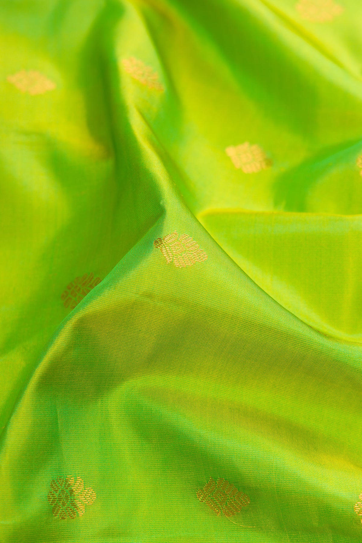 Close up of Parrot Green Dual Tone Gadwal Silk Saree with Zari Butta on the body and Zari Border.  displaying folds