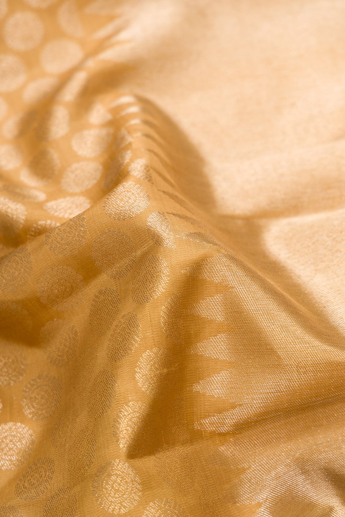 Close up of Gold Dual Tone Kanchipuram Silk Saree with Zari Brocade on the body and Temple Border.  displaying folds