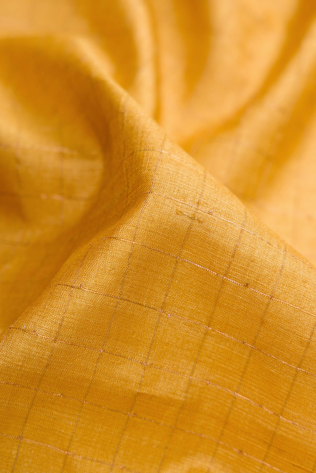 Close up of Mustard Dual Tone Tussar Silk Saree with Checked design on the body and Printed Border.  displaying folds