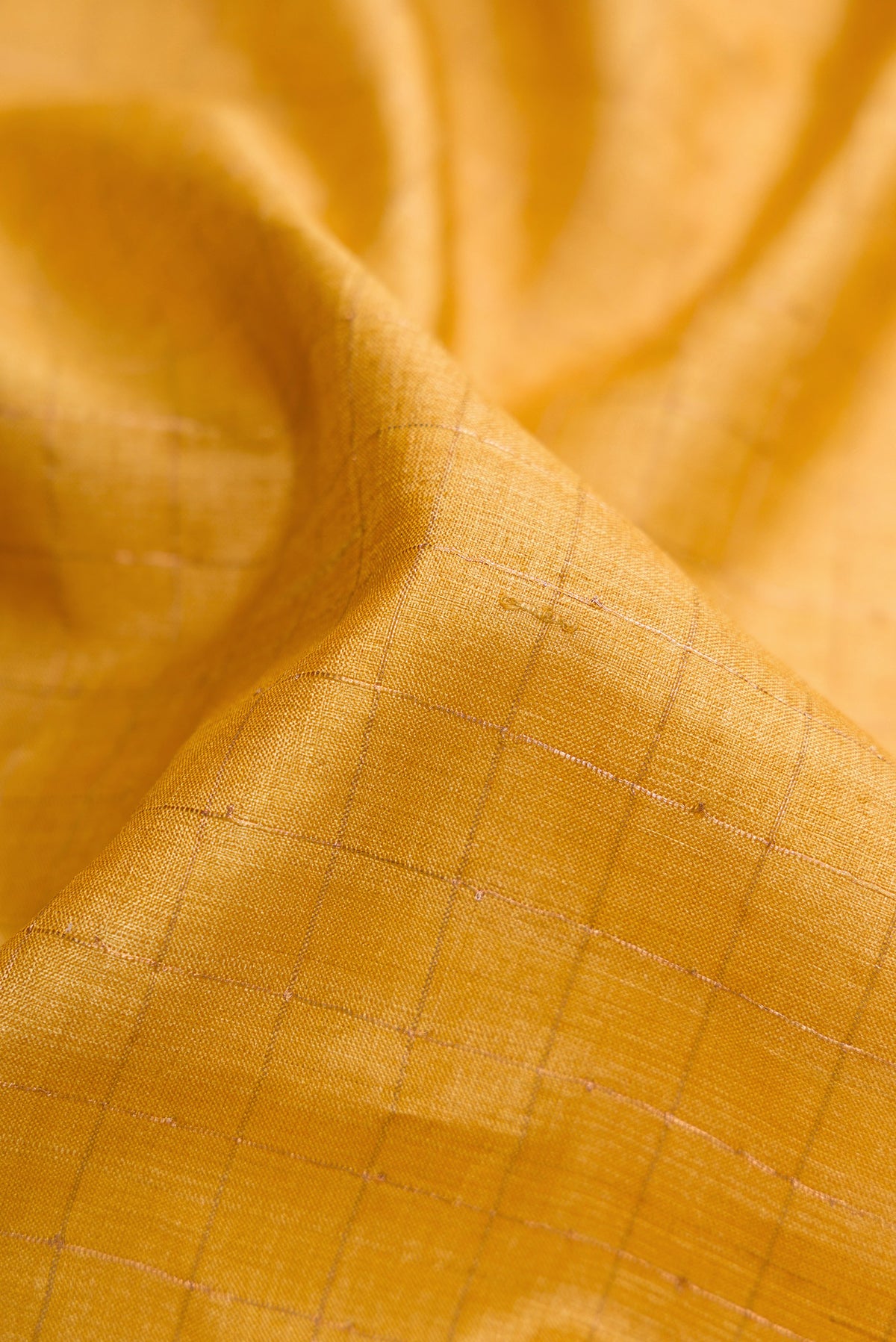 Close up of Mustard Dual Tone Tussar Silk Saree with Checked design on the body and Printed Border.  displaying folds