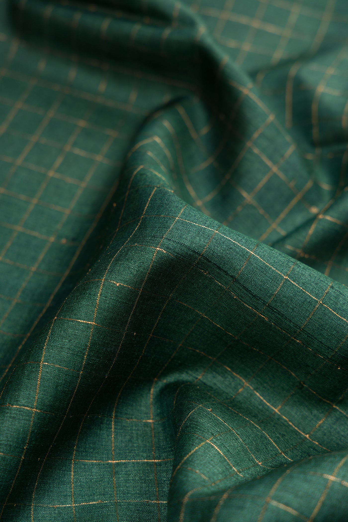 Close up of Green Dual Tone Tussar Silk Saree with Checked design on the body and Printed Border.  displaying folds