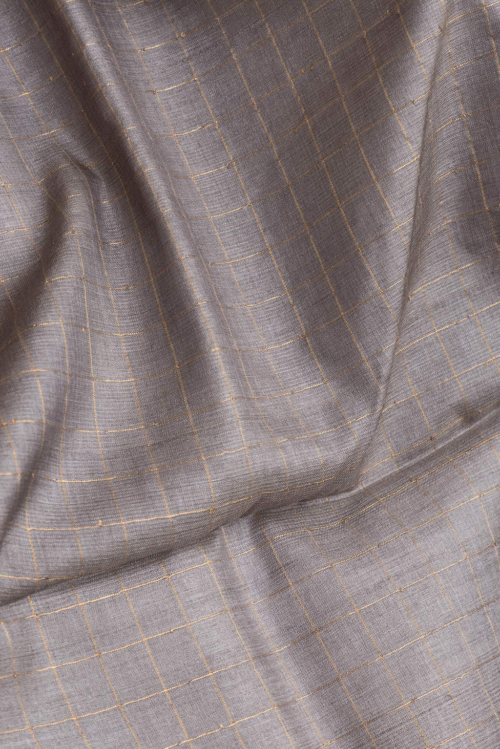 Close up of Grey Dual Tone Tussar Silk Saree with Checked design on the body and Printed Border.  displaying folds