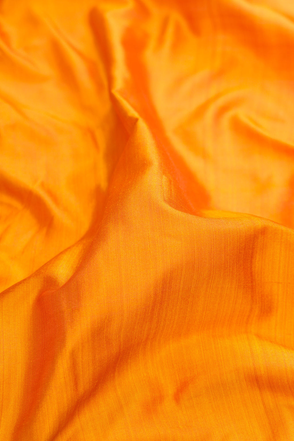 Close up of Mustard Kanchipuram Silk Saree with Plain Body and Thread Border.  displaying folds