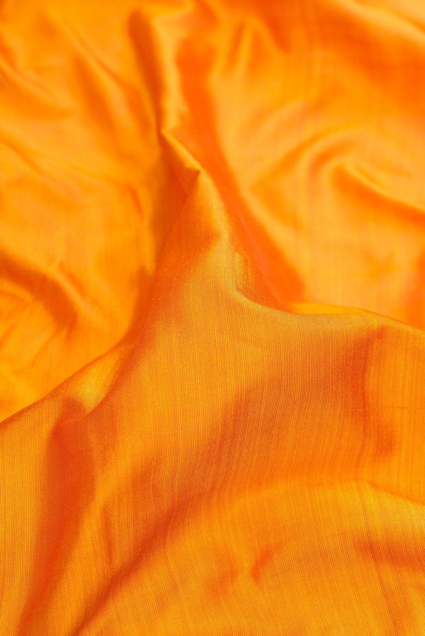 Close up of Mustard Kanchipuram Silk Saree with Plain Body and Thread Border.  displaying folds