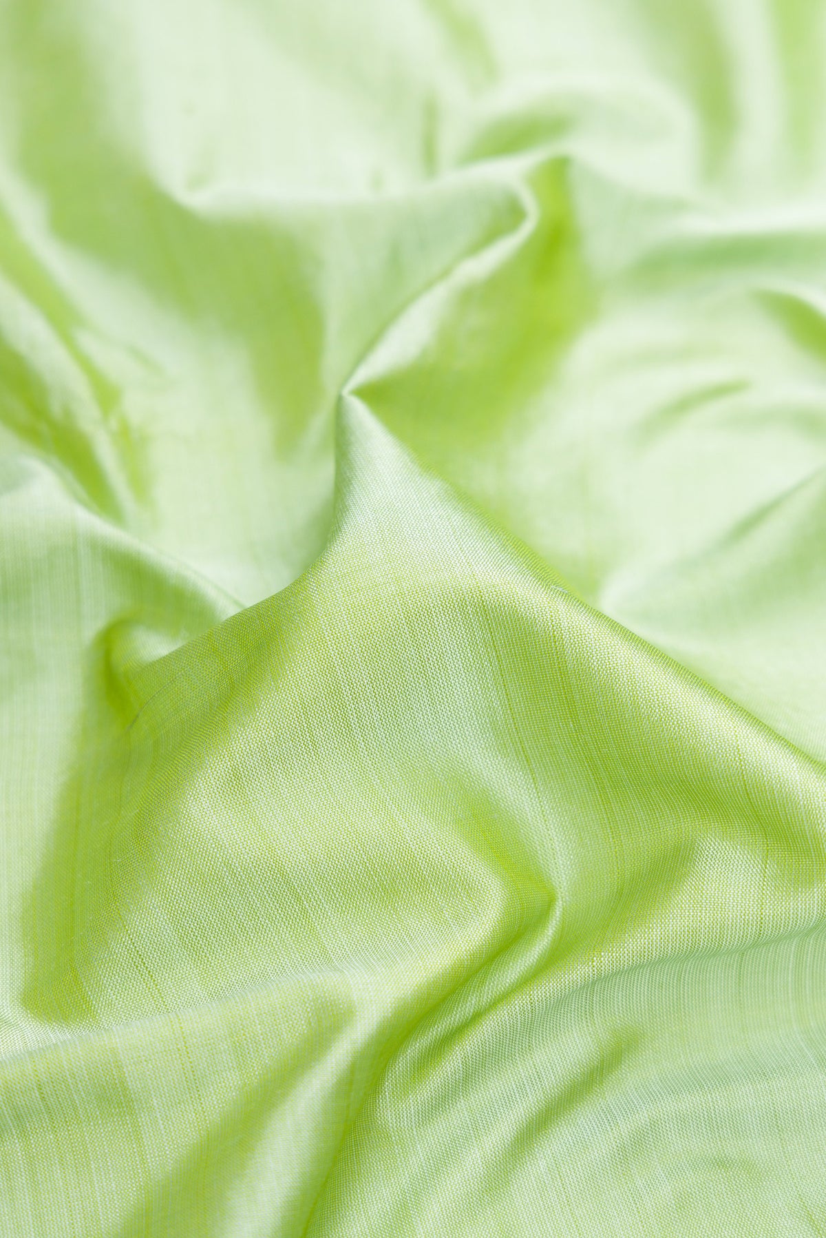 Close up of Light Green Kanchipuram Silk Saree with Plain Body and Thread Border.  displaying folds