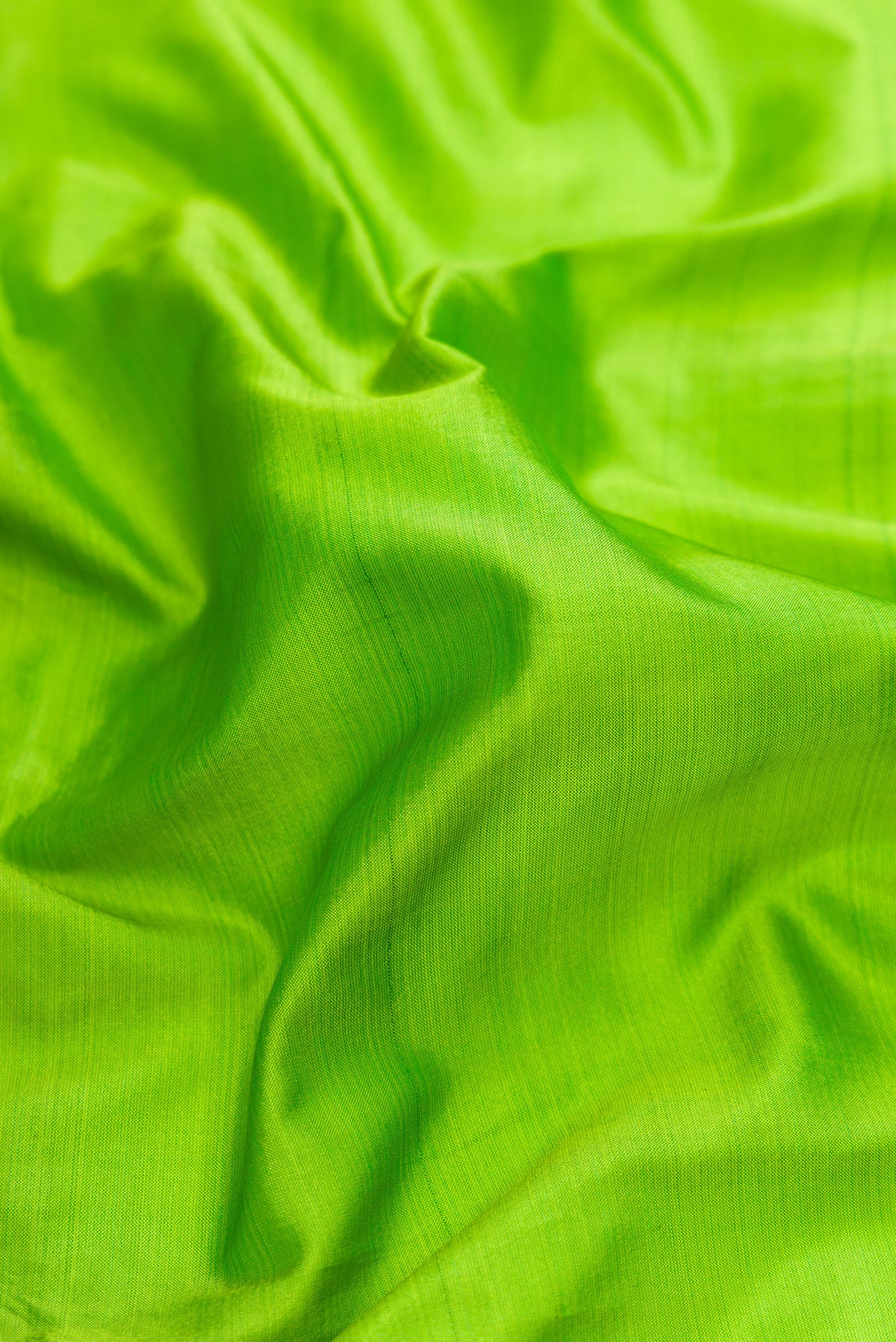 Close up of Parrot Green Kanchipuram Silk Saree with Plain Body and Thread Border.  displaying folds