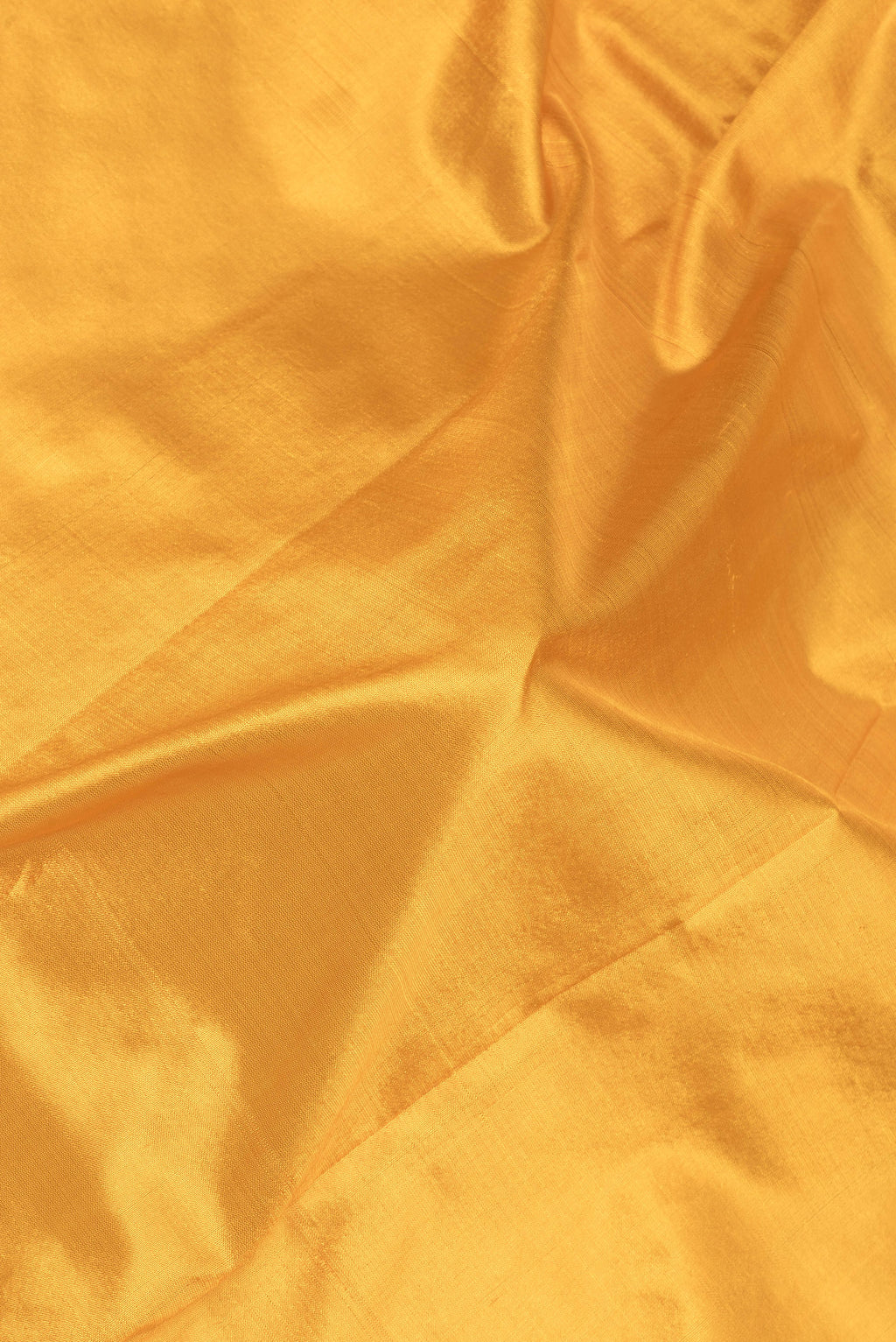 Close up of Mustard Kanchipuram Silk Saree with Plain Body and Fancy Border.  displaying folds