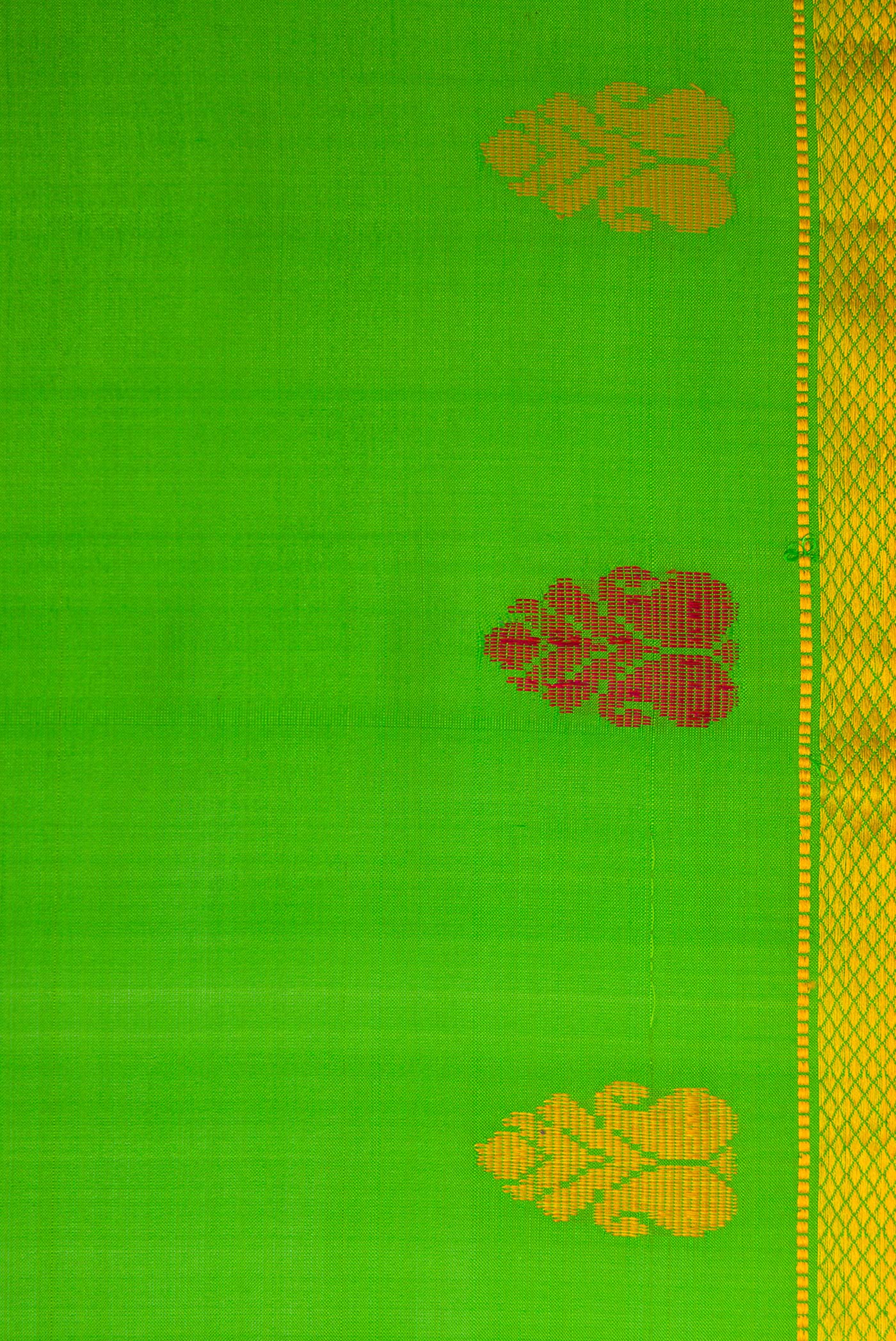 Border image of Green Dual Tone Kanchipuram Silk Saree with Plain Body and Thread Border. 