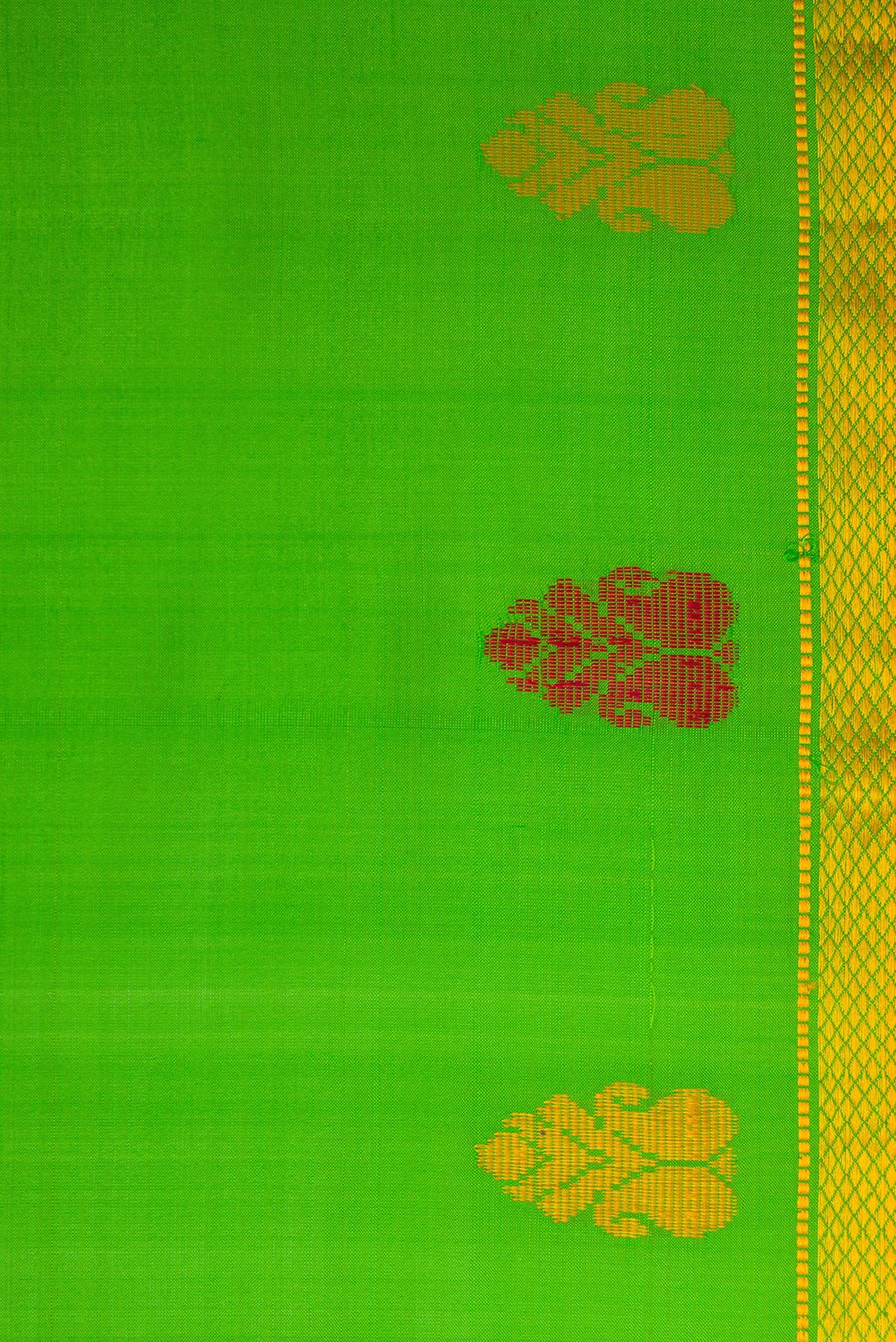 Border image of Green Dual Tone Kanchipuram Silk Saree with Plain Body and Thread Border. 