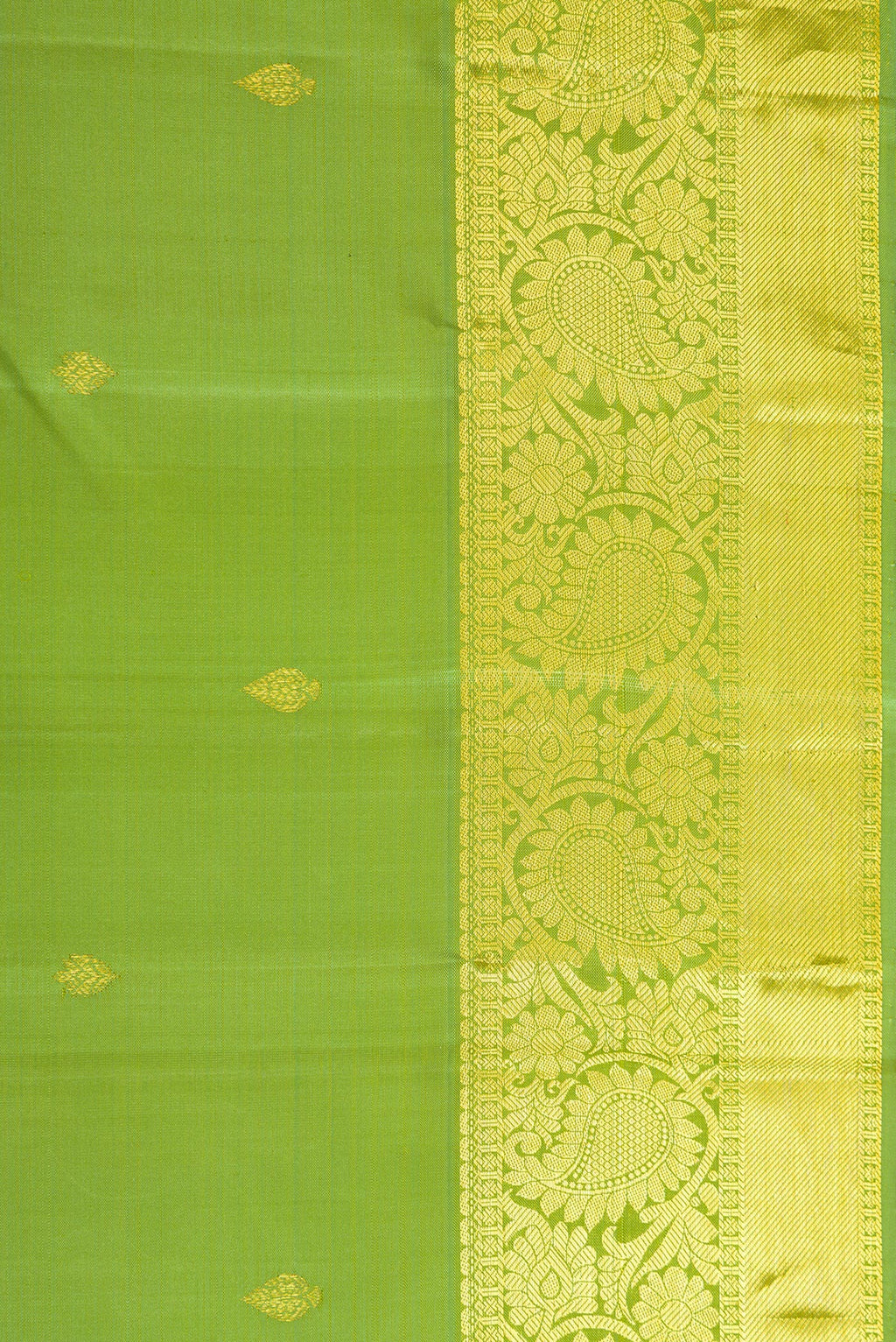 Border image of Light Green Dual Tone Kanjivaram Silk Saree with Zari Butta on the body and Zari Border. 