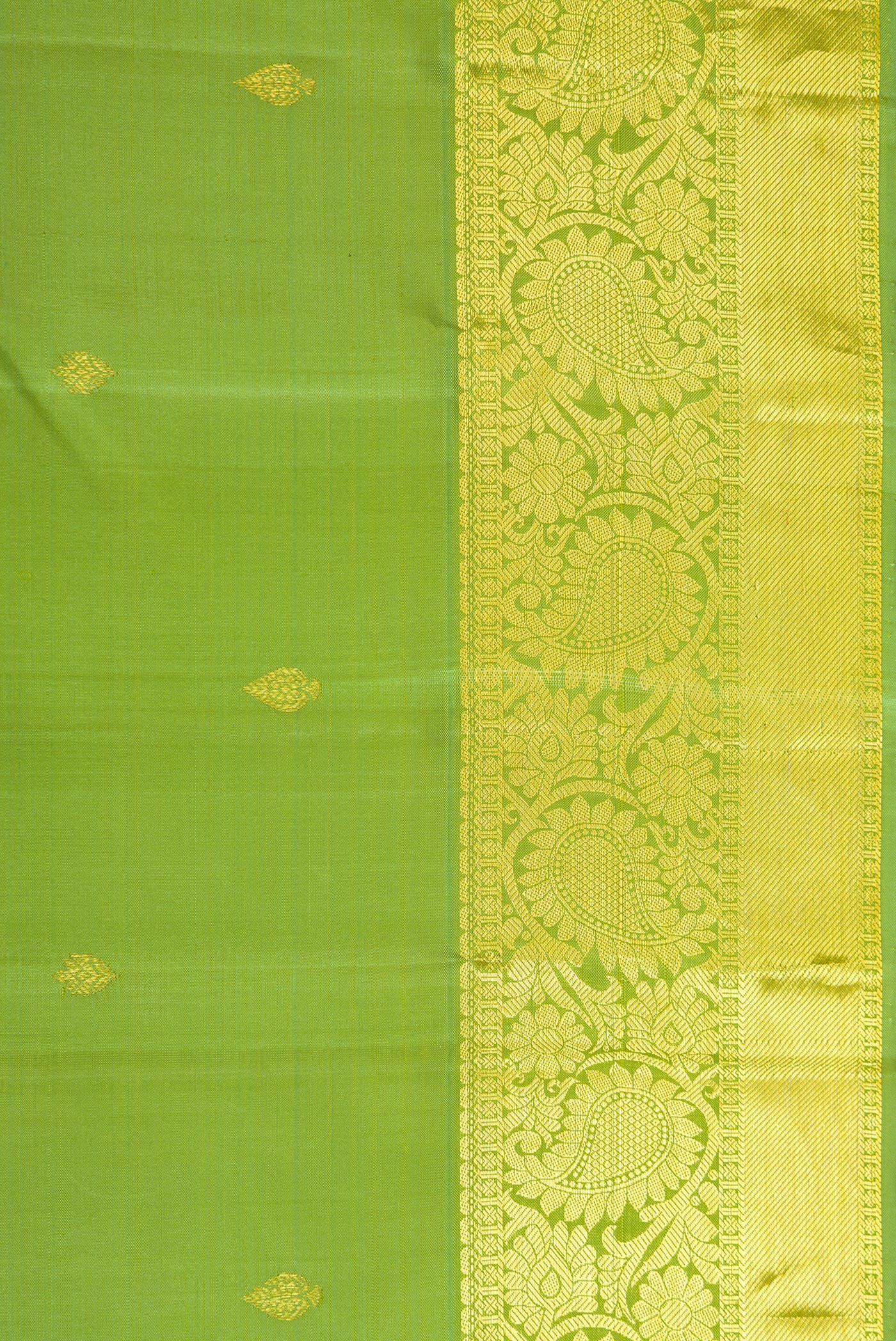 Border image of Light Green Dual Tone Kanjivaram Silk Saree with Zari Butta on the body and Zari Border. 