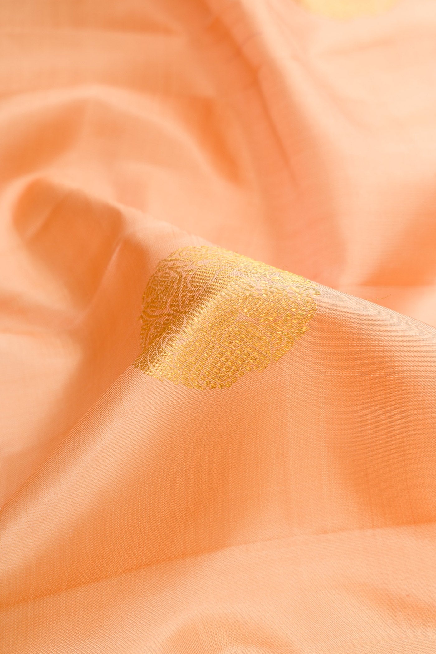 Close up of Golden Peach Dual Tone Kanjivaram Silk Saree with Zari Butta on the body and Zari Border.  displaying folds