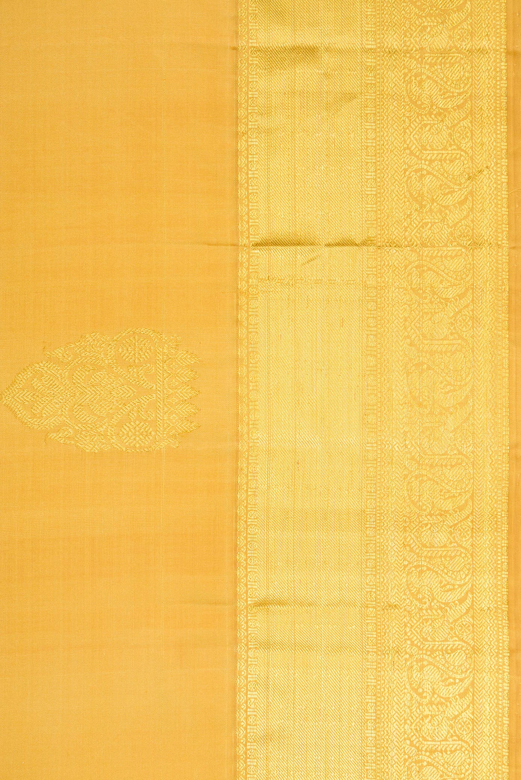 Border image of Gold Dual Tone Kanjivaram Silk Saree with Zari Butta on the body and Zari Border. 