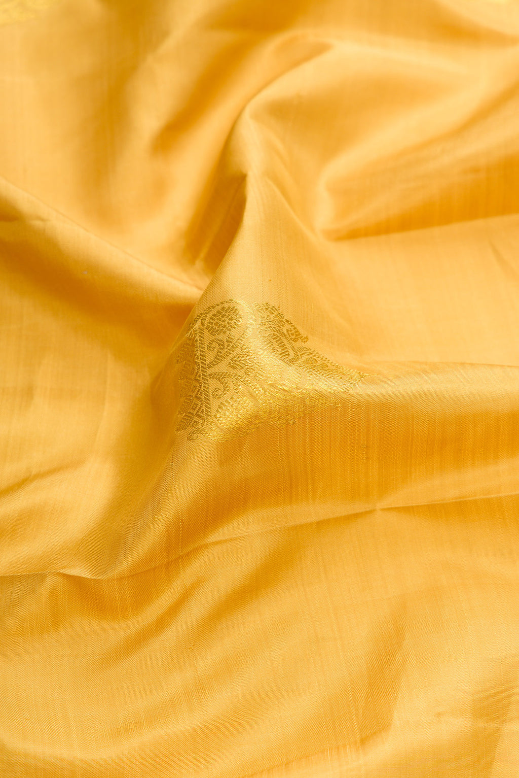 Close up of Gold Dual Tone Kanjivaram Silk Saree with Zari Butta on the body and Zari Border.  displaying folds