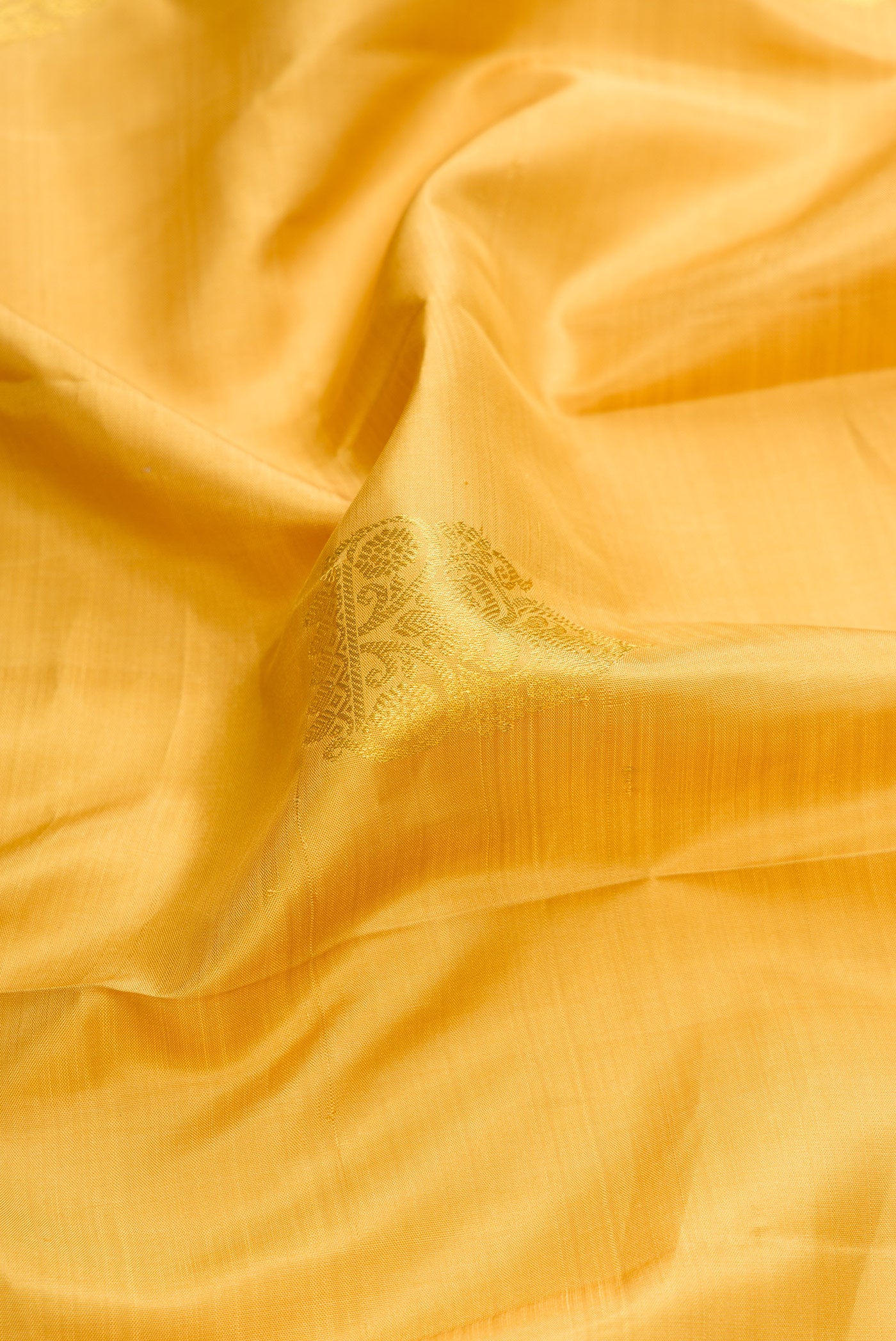 Close up of Gold Dual Tone Kanjivaram Silk Saree with Zari Butta on the body and Zari Border.  displaying folds