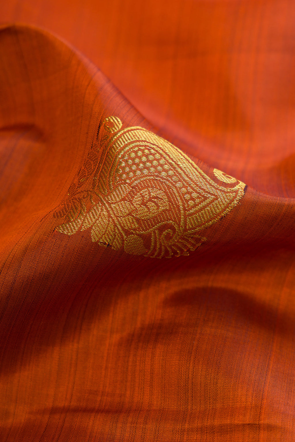Close up of Brick Orange Dual Tone Kanjivaram Silk Saree with Zari Butta on the body and Zari Border.  displaying folds