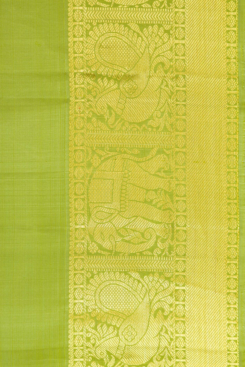 Border image of Green Dual Tone Kanjivaram Silk Saree with Zari Butta on the body and Zari Border. 