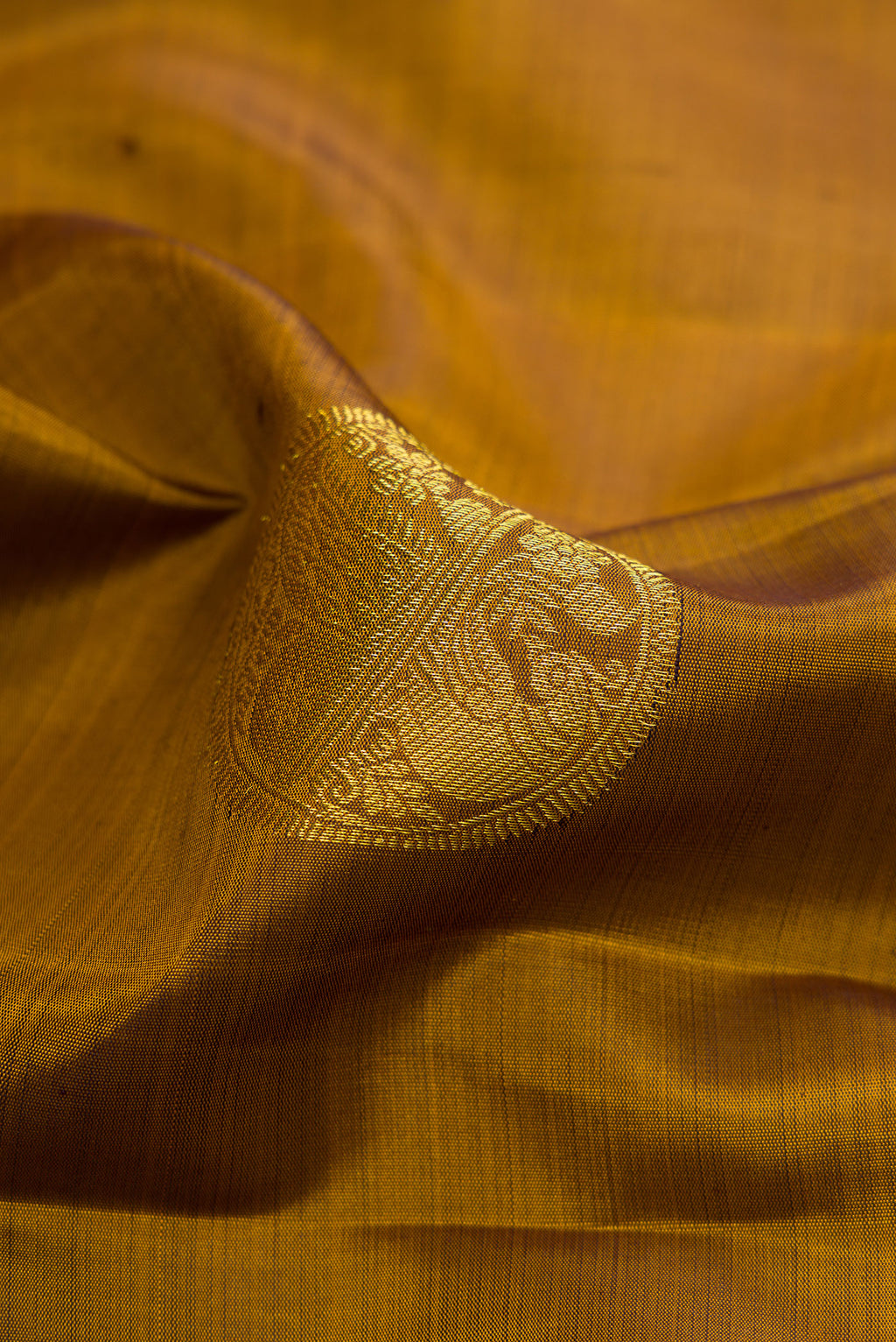 Close up of Gold Dual Tone Kanjivaram Silk Saree with Zari Butta on the body and Zari Border.  displaying folds