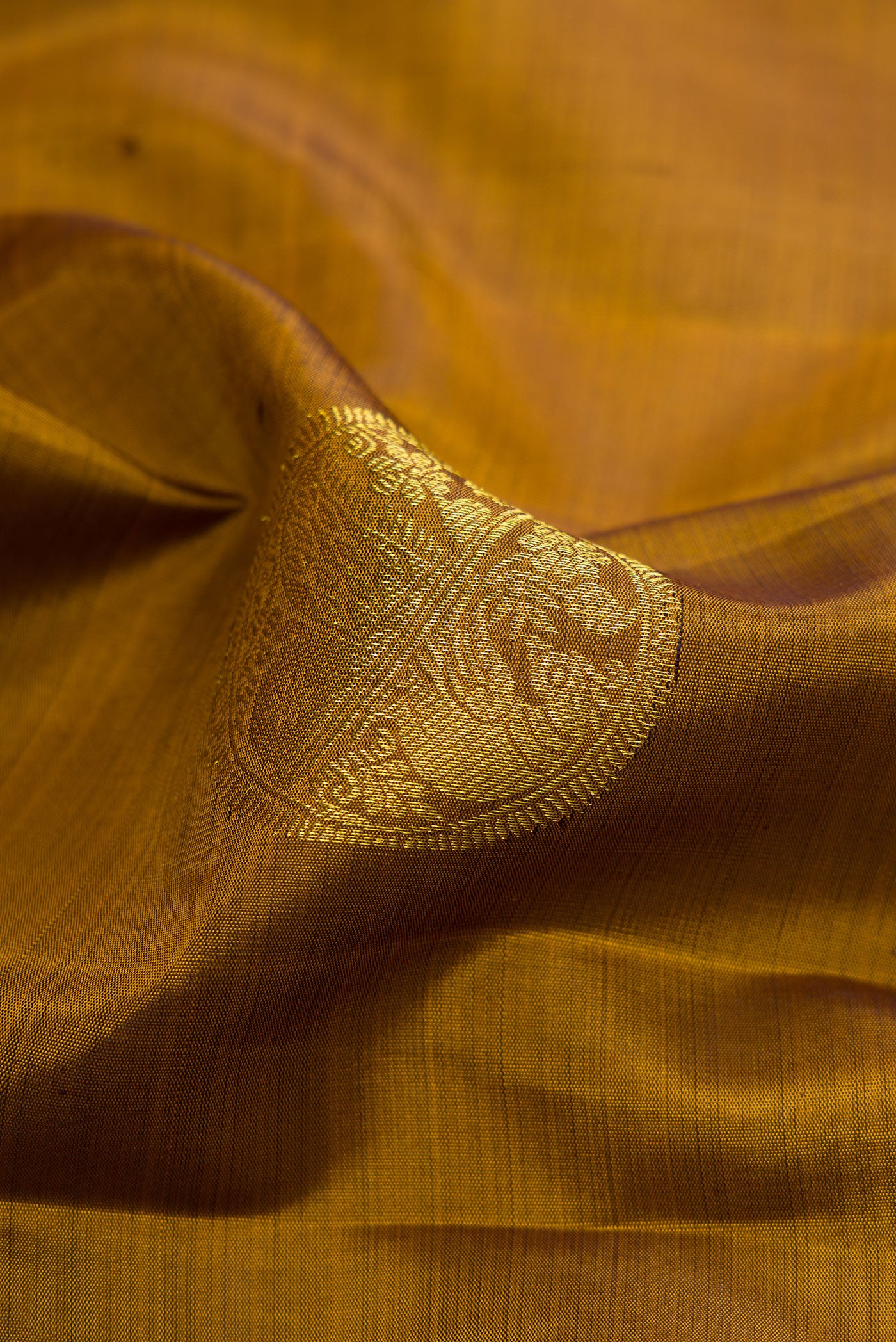 Close up of Gold Dual Tone Kanjivaram Silk Saree with Zari Butta on the body and Zari Border.  displaying folds